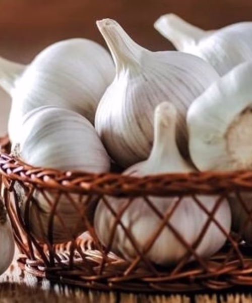 garlic-2