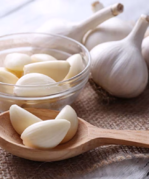 garlic
